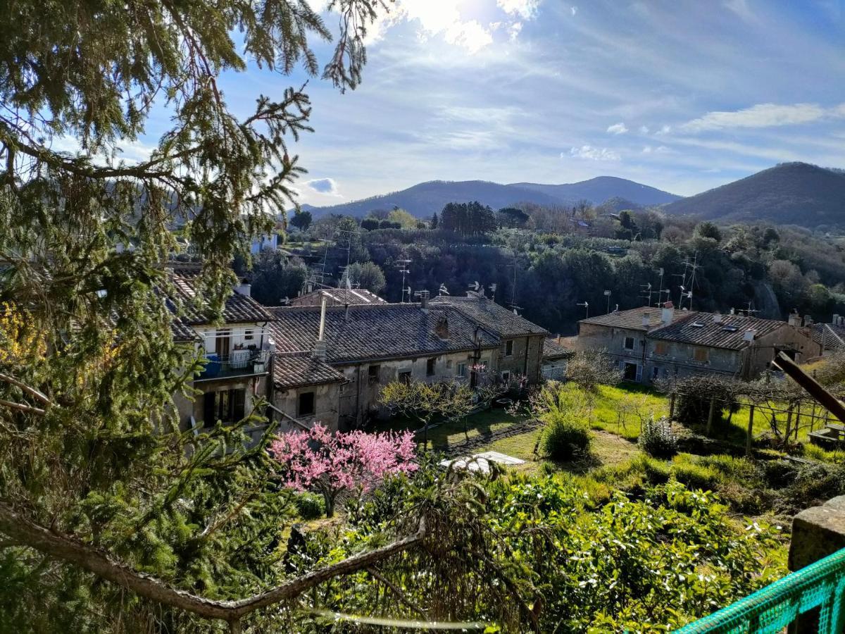 Villa Lante Viterbo Apartment 外观 照片